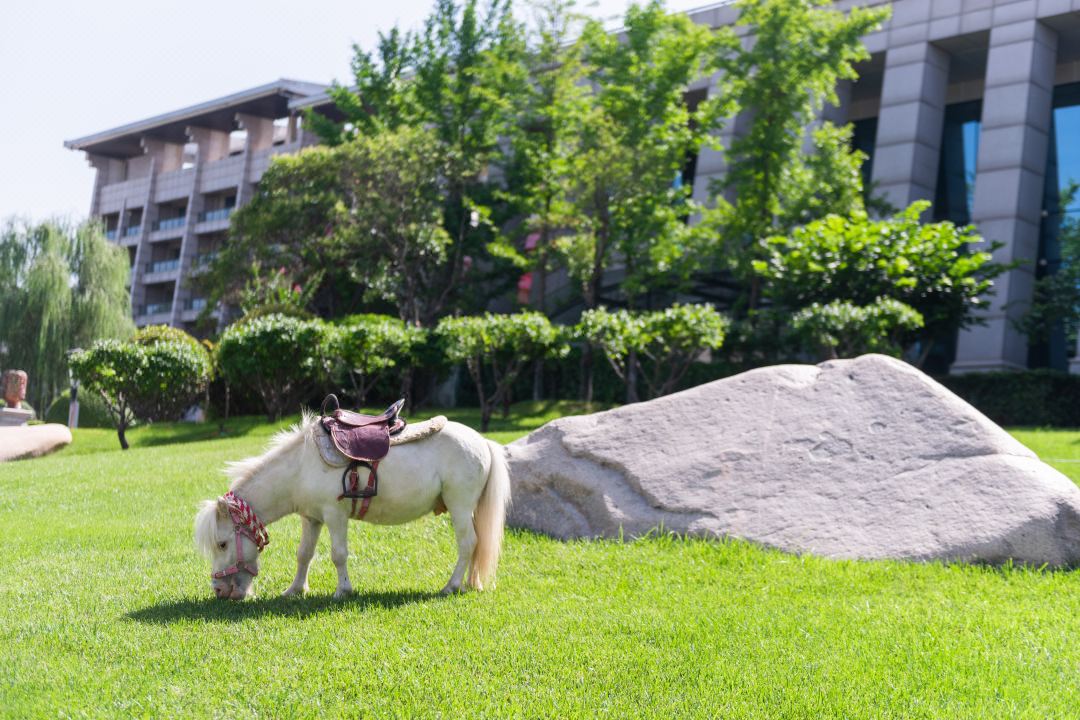 K8凯发旗舰厅(中国)官方网站