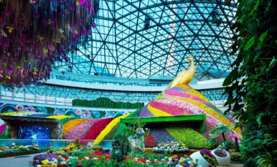 K8凯发旗舰厅(中国)官方网站