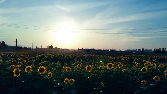 K8凯发旗舰厅(中国)官方网站