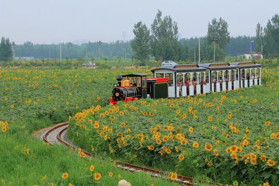 K8凯发旗舰厅(中国)官方网站