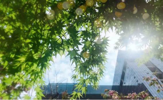 K8凯发旗舰厅(中国)官方网站