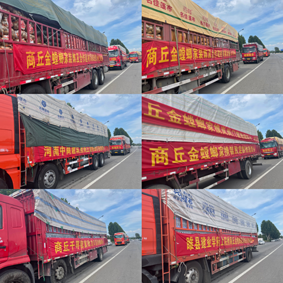 K8凯发旗舰厅(中国)官方网站